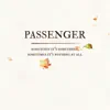 Passenger - Sometimes It's Something, Sometimes It's Nothing at All